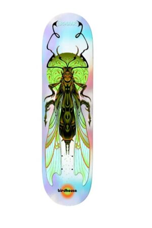 Birdhouse Tom Schaar Ilham Insects 8.25 Skateboard Deck