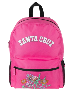 Santa Cruz Field Arch Backpack