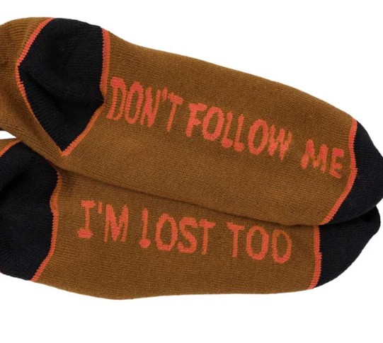 Anti Hero I'm Lost Too Brown/Orange Socks